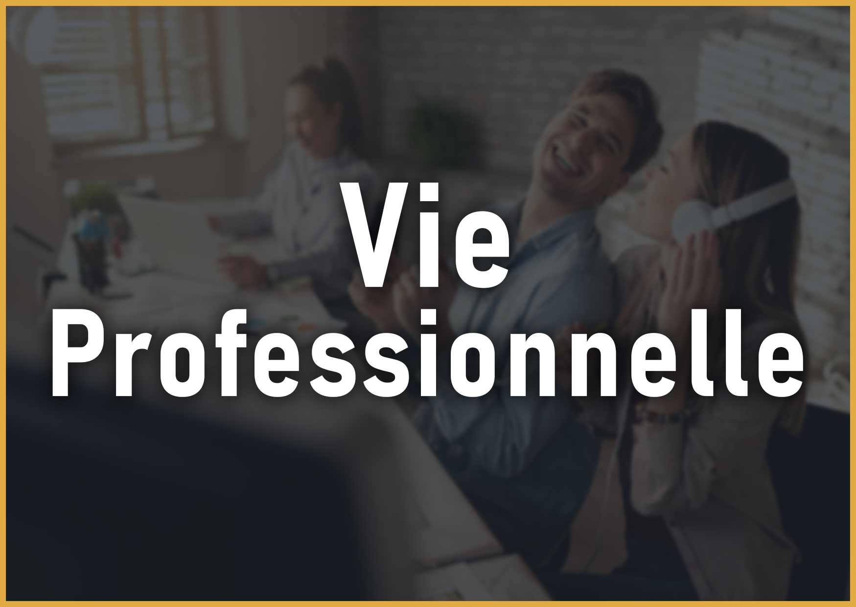 vie professionnelle
